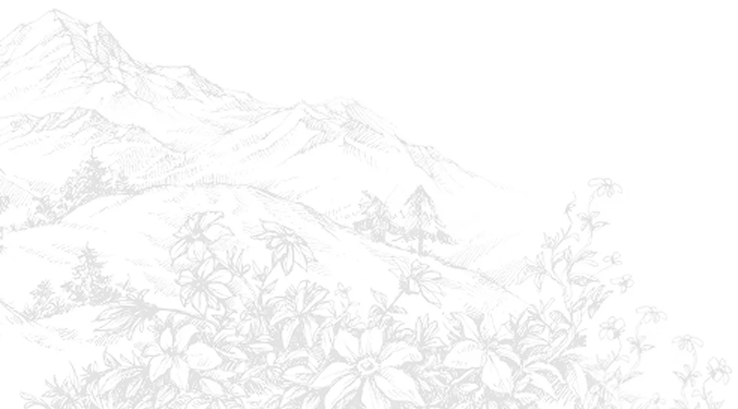 Kerala Mountains