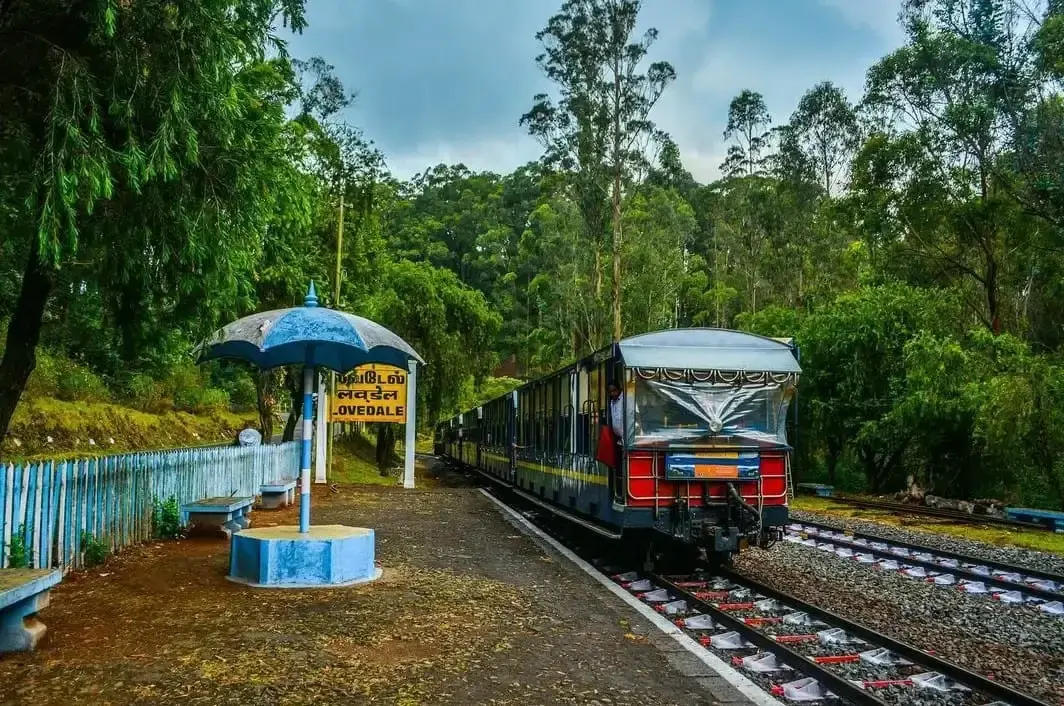Ooty (Udhagamandalam)