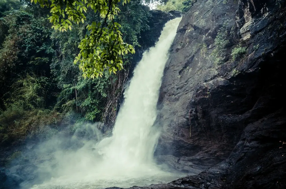 Wayanad