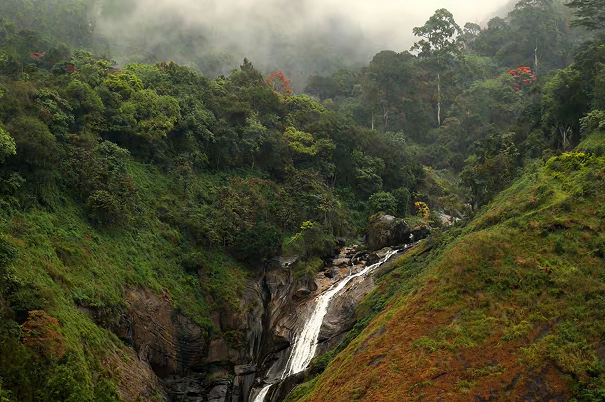 Misty Hills & Tranquil Backwaters